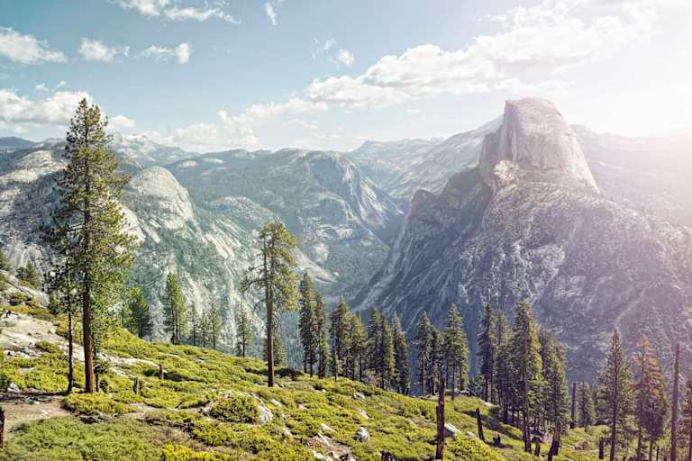 Best Psychology Programs in California for 2026